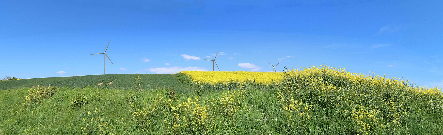 Bienvenue sur le site internet du projet éolien Grands Communaux !